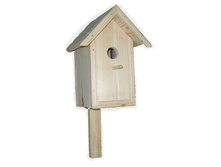 ����������-445�.