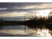 ������ ����������