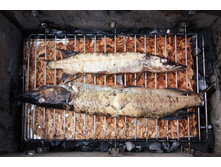 ���������� ���������