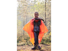 ������ ���� :)