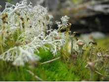 ������� ����� :)