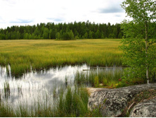 ��������� �������