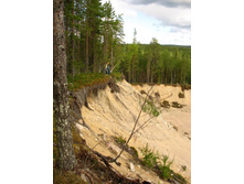 �������� ������ ������ ����� ������� �����