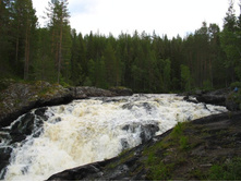 ����-�����