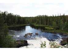 ����-�����