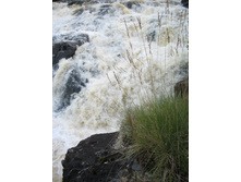 ����-�����