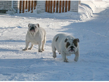 ��� ������ �� �������� 165.JPG