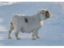 ��� ������ �� �������� 179.JPG