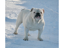 ��� ������ �� �������� 191.JPG