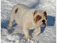 ��� ������ �� �������� 198.JPG