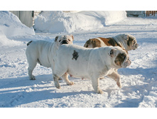 ��� ������ �� �������� 199.JPG