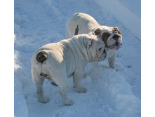 ��� ������ �� �������� 207.JPG