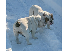 ��� ������ �� �������� 210.JPG