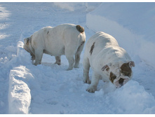 ��� ������ �� �������� 213.JPG