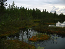 ��������� ������� � ������ �������� ���-���