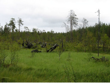 ������ �� ������