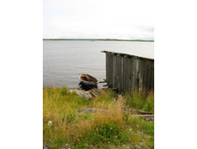 ����� ����. ��������������