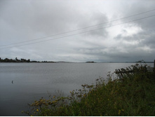 ����� ����. ��������������