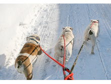 ��� ������ �� �������� 259.JPG