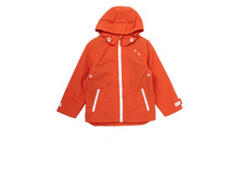 ������ ������ ���. 1600774796