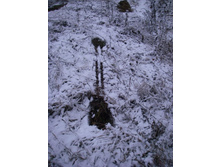 � ����� ���� ף���