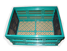 ���� ��������-232..jpg