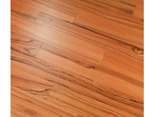 ������ indian.jpg