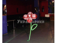 ������ �������  250���.