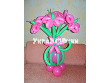 ��������� ���������� \"�����������\" 500���.