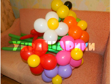 35 ���.�� 1 ��������