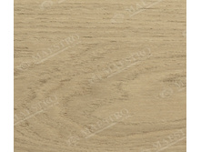 ��� Desert ����.jpg