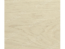 ��� Milk ����.jpg