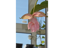 ��������� ���������