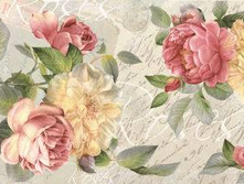 ��� ����.jpg