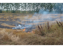 ������� ��������