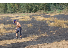 �� ��� �������� �� ������ ������