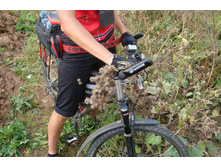 � ������, ��� ��� ��� ����� ������! ��...