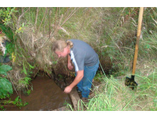 ������� ���������