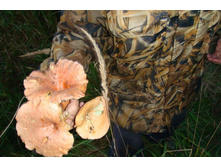 �����... �� �� �� ������)))