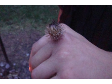 ��� ���� �� ���� ������!