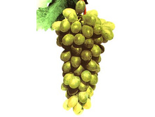 ������.����/��������