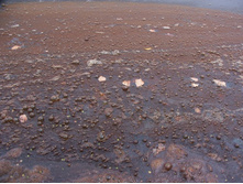 � ������� ����� ����� ����� ������� �����