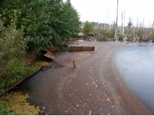 ������, ������������ ��� �� ������ ���������� ������ �������...