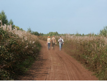 ������ ��� ����