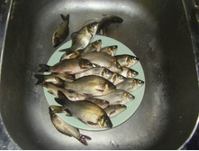 ������ 3 ��� 09