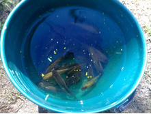 ������ 5 ��� 09