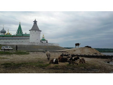 ���� ������..