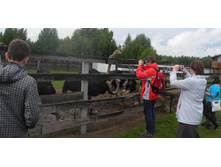 ���������� �����