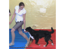 �������� ����� 08.04.2012 ��� (������� �����������)