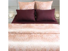 Y239 ����.jpg